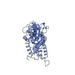0669_6j5j_B_v1-1
Cryo-EM structure of the mammalian E-state ATP synthase