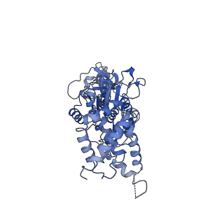 0669_6j5j_B_v1-2
Cryo-EM structure of the mammalian E-state ATP synthase