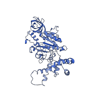 0669_6j5j_C_v1-1
Cryo-EM structure of the mammalian E-state ATP synthase