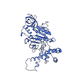 0669_6j5j_C_v1-2
Cryo-EM structure of the mammalian E-state ATP synthase