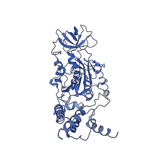 0669_6j5j_D_v1-1
Cryo-EM structure of the mammalian E-state ATP synthase