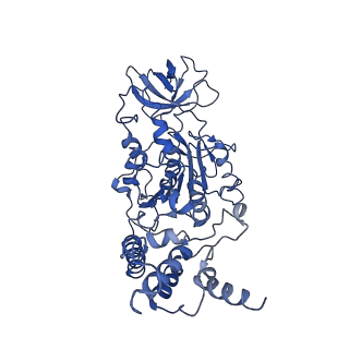 0669_6j5j_D_v1-2
Cryo-EM structure of the mammalian E-state ATP synthase