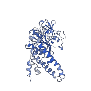 0669_6j5j_E_v1-1
Cryo-EM structure of the mammalian E-state ATP synthase