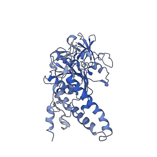 0669_6j5j_E_v1-2
Cryo-EM structure of the mammalian E-state ATP synthase