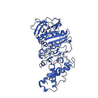 0669_6j5j_F_v1-1
Cryo-EM structure of the mammalian E-state ATP synthase