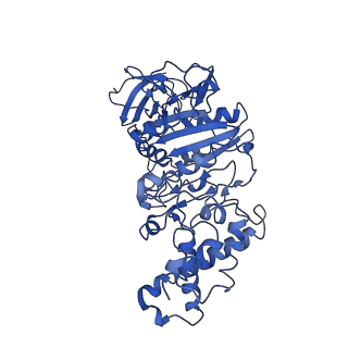 0669_6j5j_F_v1-2
Cryo-EM structure of the mammalian E-state ATP synthase