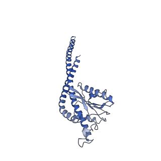 0669_6j5j_G_v1-1
Cryo-EM structure of the mammalian E-state ATP synthase