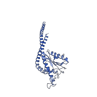 0669_6j5j_G_v1-2
Cryo-EM structure of the mammalian E-state ATP synthase