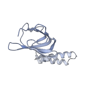 0669_6j5j_H_v1-1
Cryo-EM structure of the mammalian E-state ATP synthase
