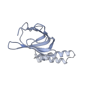 0669_6j5j_H_v1-2
Cryo-EM structure of the mammalian E-state ATP synthase