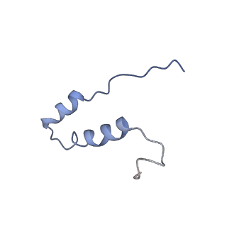 0669_6j5j_I_v1-1
Cryo-EM structure of the mammalian E-state ATP synthase