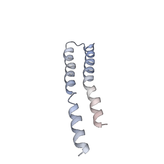 0669_6j5j_K_v1-1
Cryo-EM structure of the mammalian E-state ATP synthase