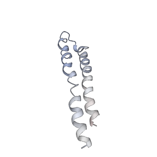 0669_6j5j_L_v1-1
Cryo-EM structure of the mammalian E-state ATP synthase