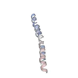 0669_6j5j_M_v1-1
Cryo-EM structure of the mammalian E-state ATP synthase