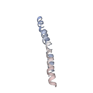 0669_6j5j_M_v1-2
Cryo-EM structure of the mammalian E-state ATP synthase