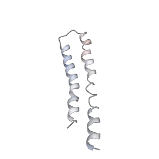 0669_6j5j_O_v1-1
Cryo-EM structure of the mammalian E-state ATP synthase