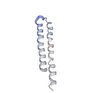 0669_6j5j_P_v1-2
Cryo-EM structure of the mammalian E-state ATP synthase