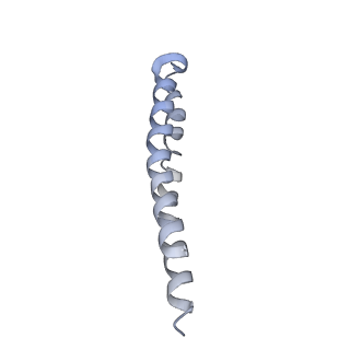 0669_6j5j_Q_v1-2
Cryo-EM structure of the mammalian E-state ATP synthase