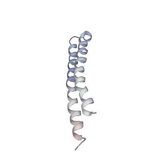 0669_6j5j_R_v1-1
Cryo-EM structure of the mammalian E-state ATP synthase