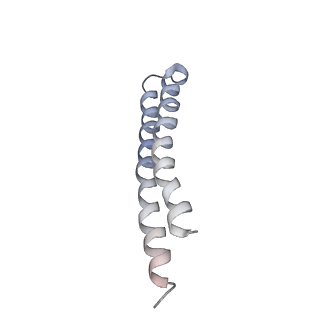 0669_6j5j_R_v1-2
Cryo-EM structure of the mammalian E-state ATP synthase