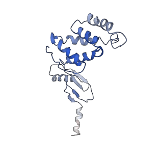0669_6j5j_S_v1-1
Cryo-EM structure of the mammalian E-state ATP synthase