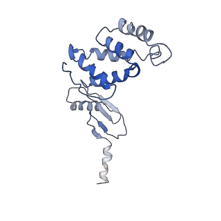 0669_6j5j_S_v1-2
Cryo-EM structure of the mammalian E-state ATP synthase