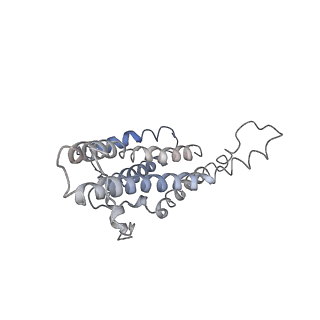 0669_6j5j_a_v1-1
Cryo-EM structure of the mammalian E-state ATP synthase