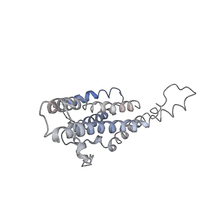 0669_6j5j_a_v1-2
Cryo-EM structure of the mammalian E-state ATP synthase