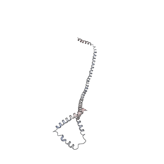 0669_6j5j_b_v1-2
Cryo-EM structure of the mammalian E-state ATP synthase