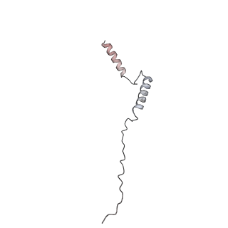 0669_6j5j_c_v1-1
Cryo-EM structure of the mammalian E-state ATP synthase