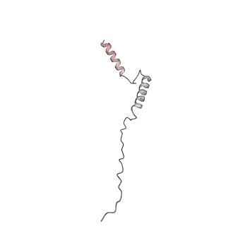 0669_6j5j_c_v1-2
Cryo-EM structure of the mammalian E-state ATP synthase