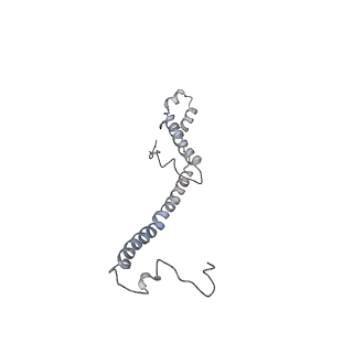 0669_6j5j_d_v1-1
Cryo-EM structure of the mammalian E-state ATP synthase
