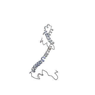 0669_6j5j_d_v1-2
Cryo-EM structure of the mammalian E-state ATP synthase