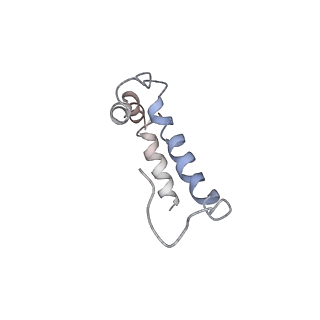 0669_6j5j_f_v1-1
Cryo-EM structure of the mammalian E-state ATP synthase