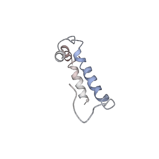 0669_6j5j_f_v1-2
Cryo-EM structure of the mammalian E-state ATP synthase