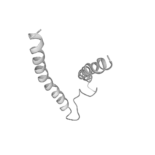 0669_6j5j_g_v1-2
Cryo-EM structure of the mammalian E-state ATP synthase