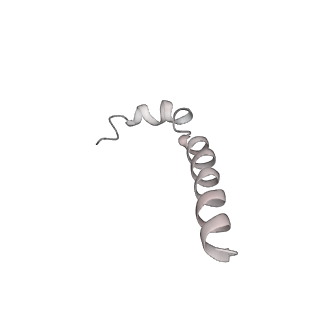 0669_6j5j_i_v1-2
Cryo-EM structure of the mammalian E-state ATP synthase