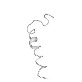 0669_6j5j_k_v1-2
Cryo-EM structure of the mammalian E-state ATP synthase