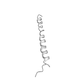 0669_6j5j_u_v1-1
Cryo-EM structure of the mammalian E-state ATP synthase