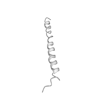 0669_6j5j_u_v1-2
Cryo-EM structure of the mammalian E-state ATP synthase