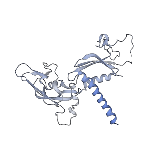 0675_6j50_C_v1-3
RNA polymerase II elongation complex bound with Spt4/5 and foreign DNA, stalled at SHL(-1) of the nucleosome (tilted conformation)