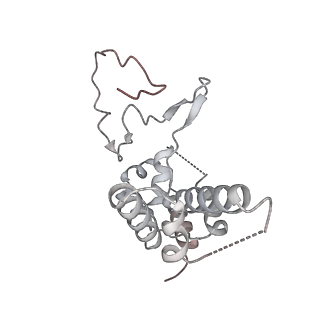 0675_6j50_D_v1-3
RNA polymerase II elongation complex bound with Spt4/5 and foreign DNA, stalled at SHL(-1) of the nucleosome (tilted conformation)