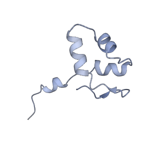0675_6j50_J_v1-2
RNA polymerase II elongation complex bound with Spt4/5 and foreign DNA, stalled at SHL(-1) of the nucleosome (tilted conformation)