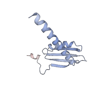 0675_6j50_K_v1-2
RNA polymerase II elongation complex bound with Spt4/5 and foreign DNA, stalled at SHL(-1) of the nucleosome (tilted conformation)