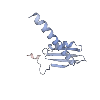 0675_6j50_K_v1-3
RNA polymerase II elongation complex bound with Spt4/5 and foreign DNA, stalled at SHL(-1) of the nucleosome (tilted conformation)