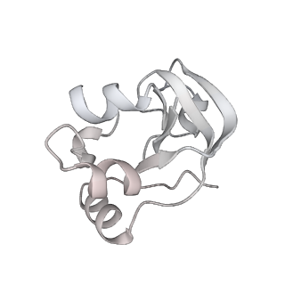 0675_6j50_V_v1-2
RNA polymerase II elongation complex bound with Spt4/5 and foreign DNA, stalled at SHL(-1) of the nucleosome (tilted conformation)