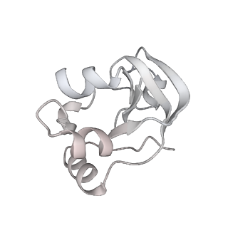 0675_6j50_V_v1-3
RNA polymerase II elongation complex bound with Spt4/5 and foreign DNA, stalled at SHL(-1) of the nucleosome (tilted conformation)