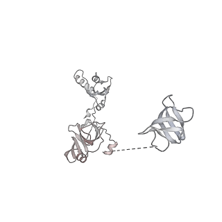 0675_6j50_W_v1-3
RNA polymerase II elongation complex bound with Spt4/5 and foreign DNA, stalled at SHL(-1) of the nucleosome (tilted conformation)