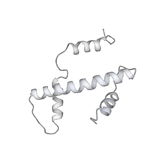 0675_6j50_a_v1-2
RNA polymerase II elongation complex bound with Spt4/5 and foreign DNA, stalled at SHL(-1) of the nucleosome (tilted conformation)