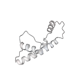0675_6j50_b_v1-2
RNA polymerase II elongation complex bound with Spt4/5 and foreign DNA, stalled at SHL(-1) of the nucleosome (tilted conformation)